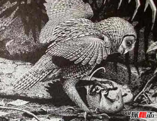 10大最奇特滅絕物種 第九長達(dá)三米,第一致死高手(附圖)