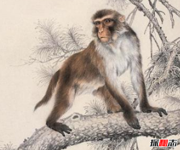 親身經(jīng)歷!安徽農(nóng)村真實(shí)靈異事件,夜晚鬼請(qǐng)醫(yī)為無上顎兒看病