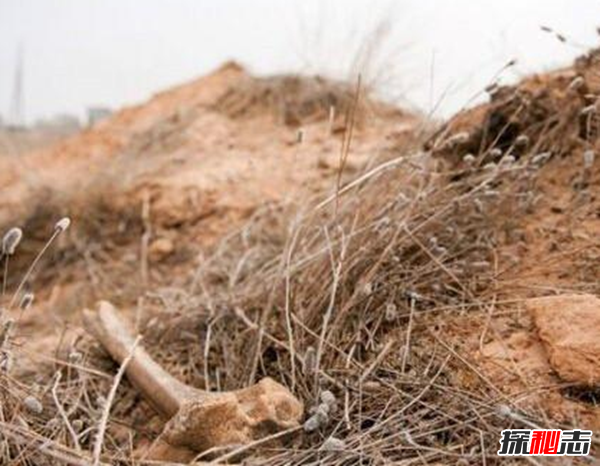 親身經(jīng)歷!安徽農(nóng)村真實(shí)靈異事件,夜晚鬼請(qǐng)醫(yī)為無上顎兒看病