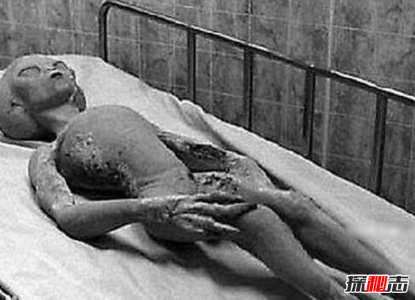 1980年英國蘭德薩姆森林事件,神秘UFO竟然是一車糞