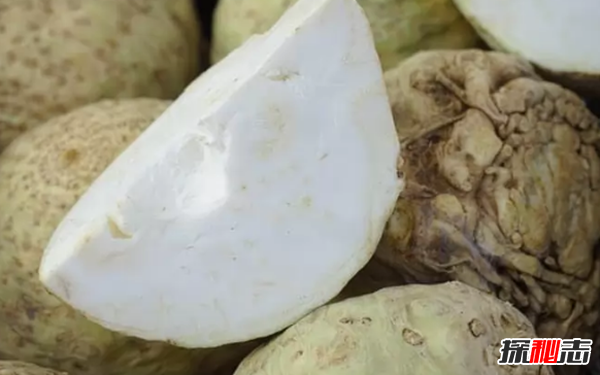 大部分人沒見過的蔬菜?盤點世界十大鮮為人知的蔬菜