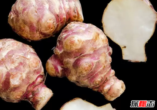 大部分人沒見過的蔬菜?盤點世界十大鮮為人知的蔬菜