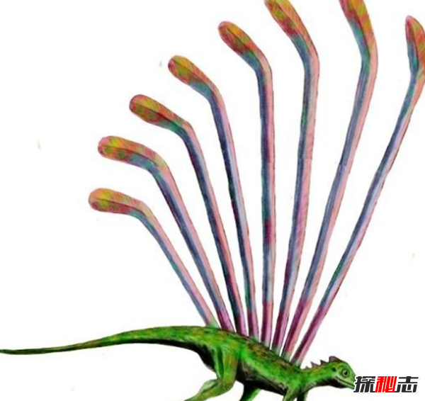 地球還存在史前生物嗎?世界十大無害的史前生物